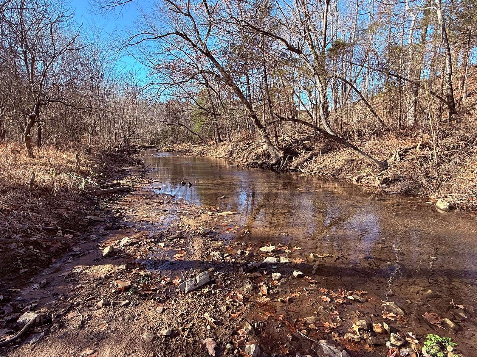 20 Acres of Recreational Land & Farm for Sale in Melbourne, Arkansas