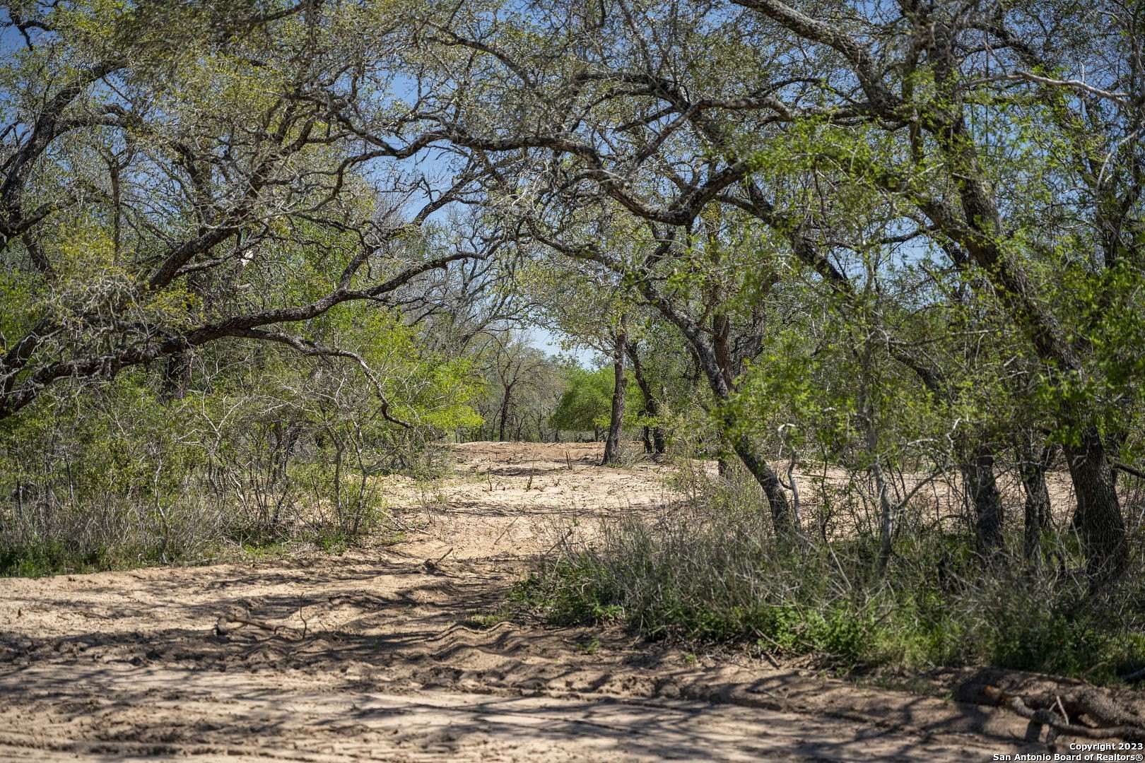 11 Acres of Land for Sale in Natalia, Texas