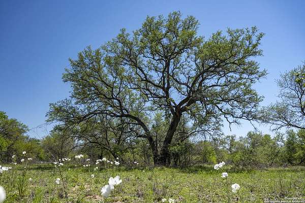 11 Acres of Land for Sale in Natalia, Texas