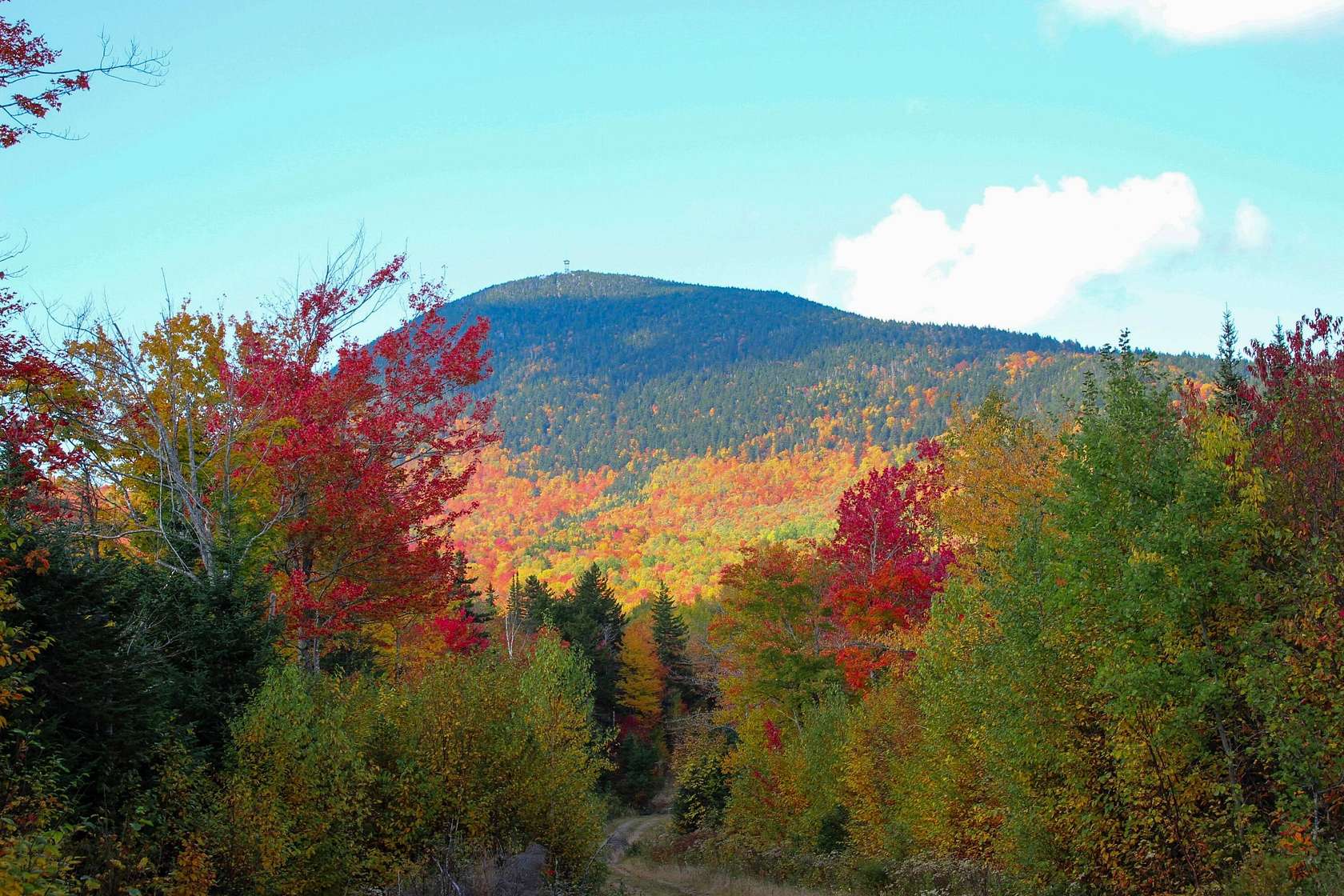 21.03 Acres of Recreational Land for Sale in Temple, Maine