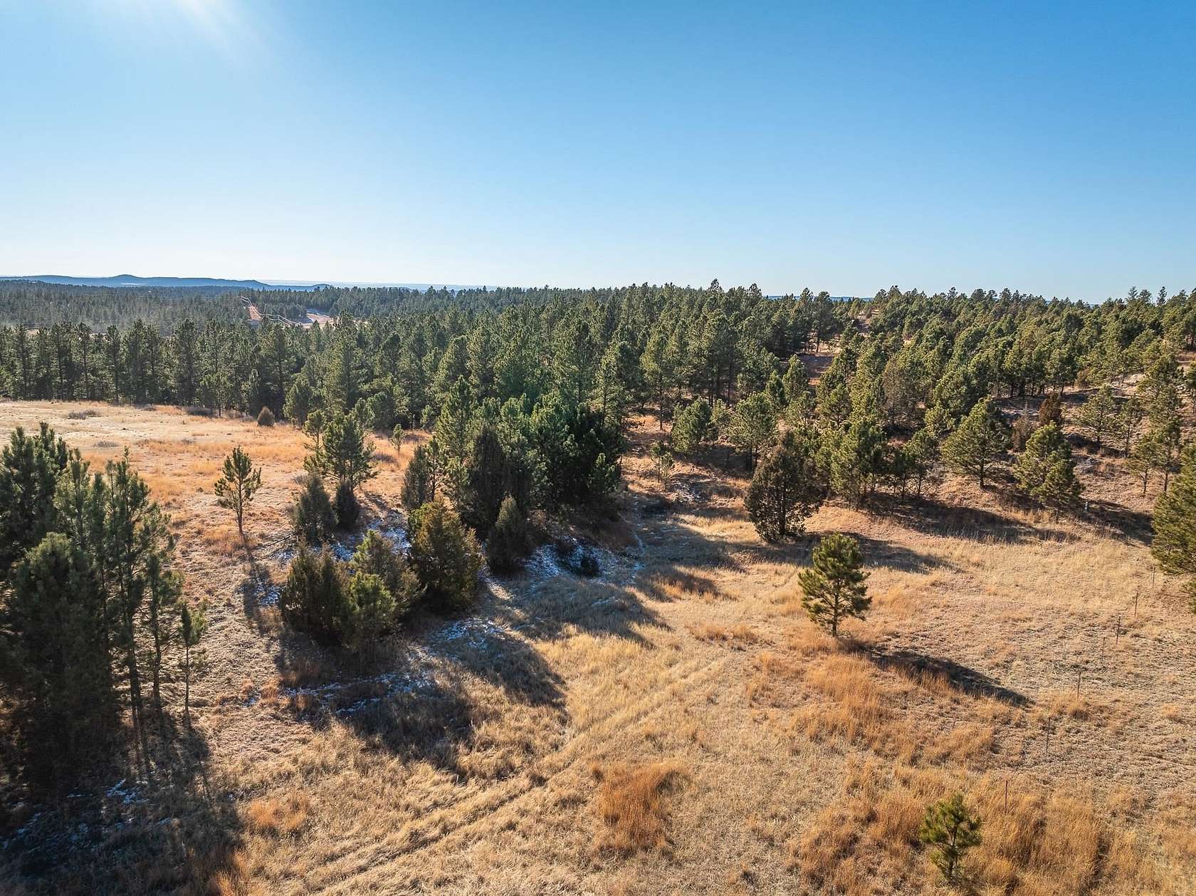 20 Acres of Land for Sale in Custer, South Dakota