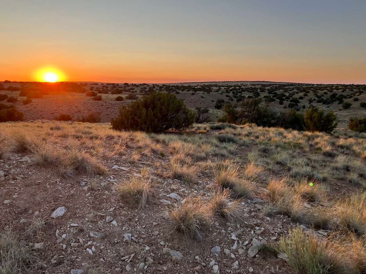 9.05 Acres of Residential Land for Sale in Chambers, Arizona