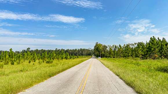 40 Acres of Land for Sale in Live Oak, Florida