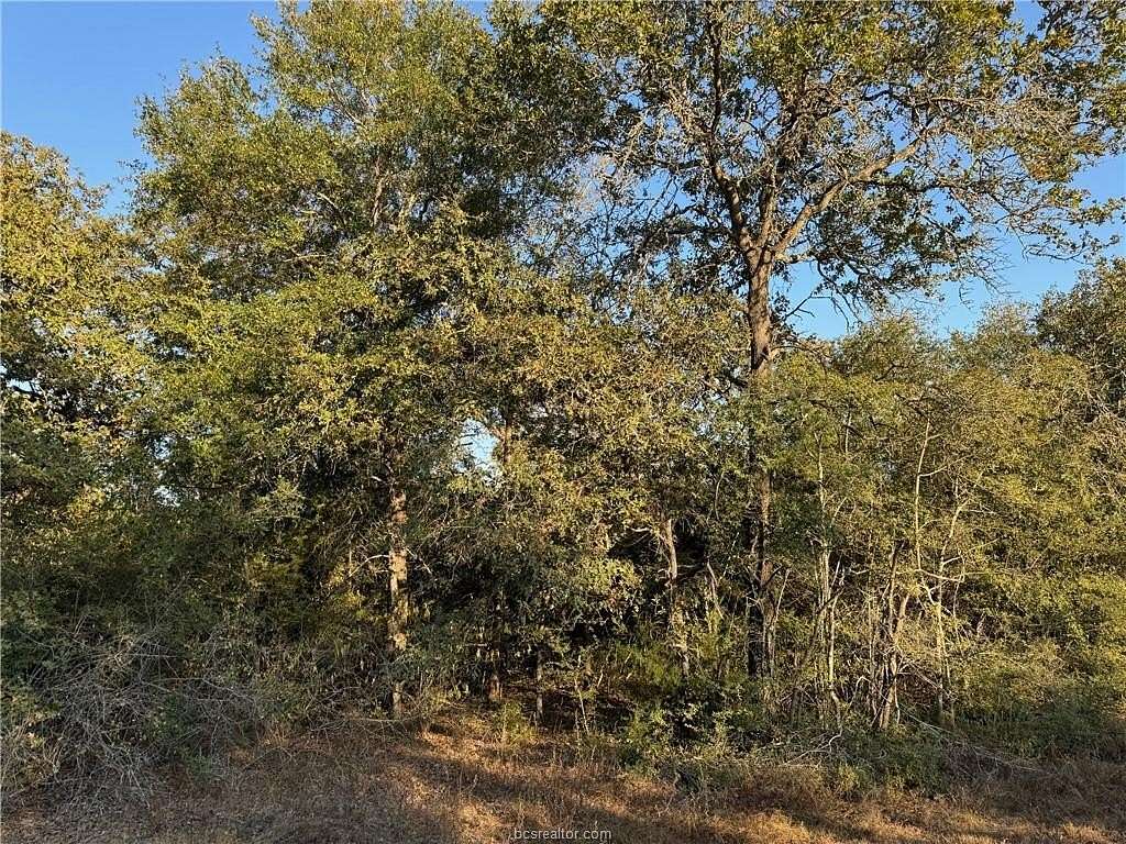 0.93 Acres of Residential Land for Sale in Caldwell, Texas