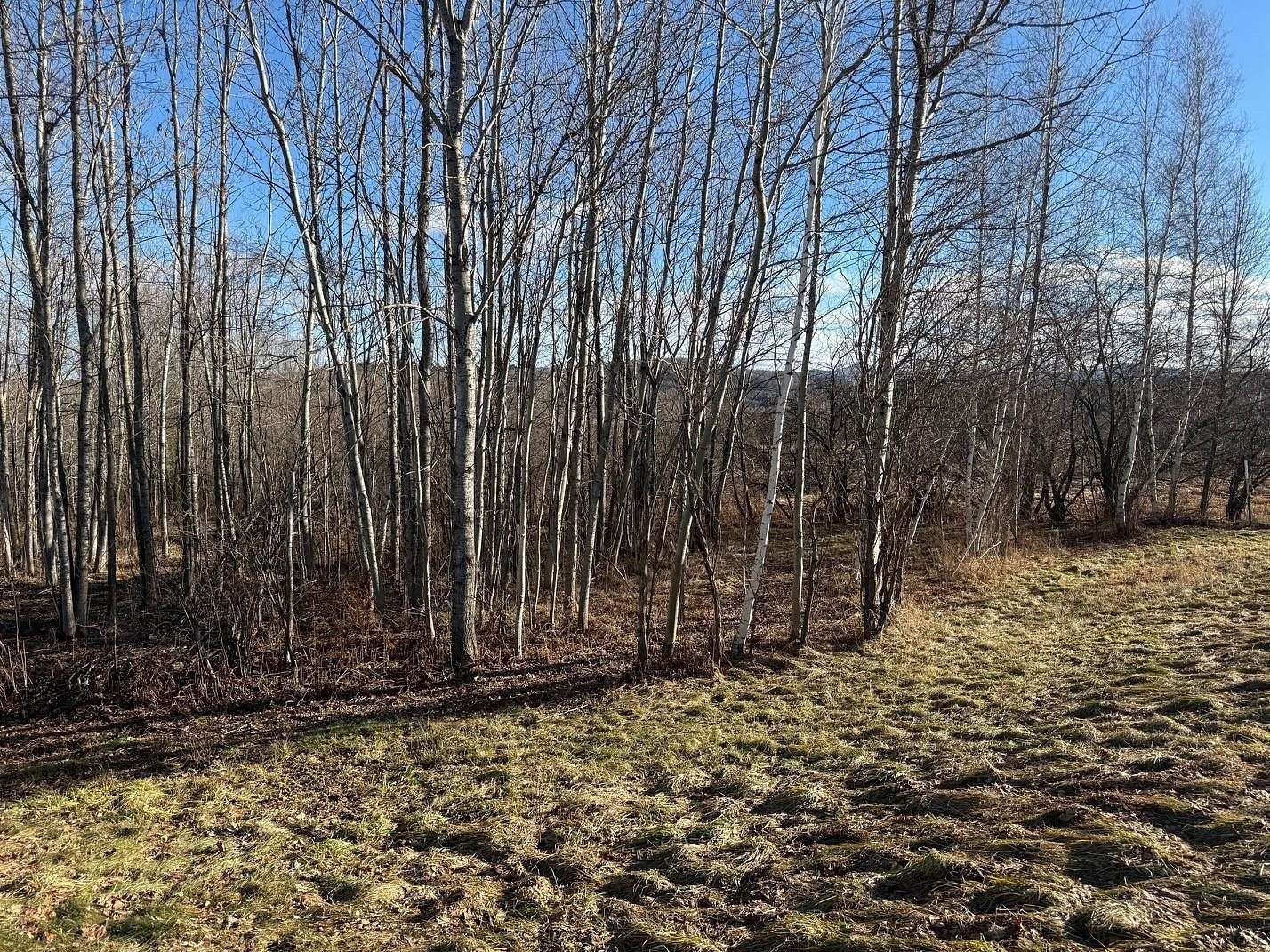 1 Acre of Residential Land for Sale in Troy, Vermont