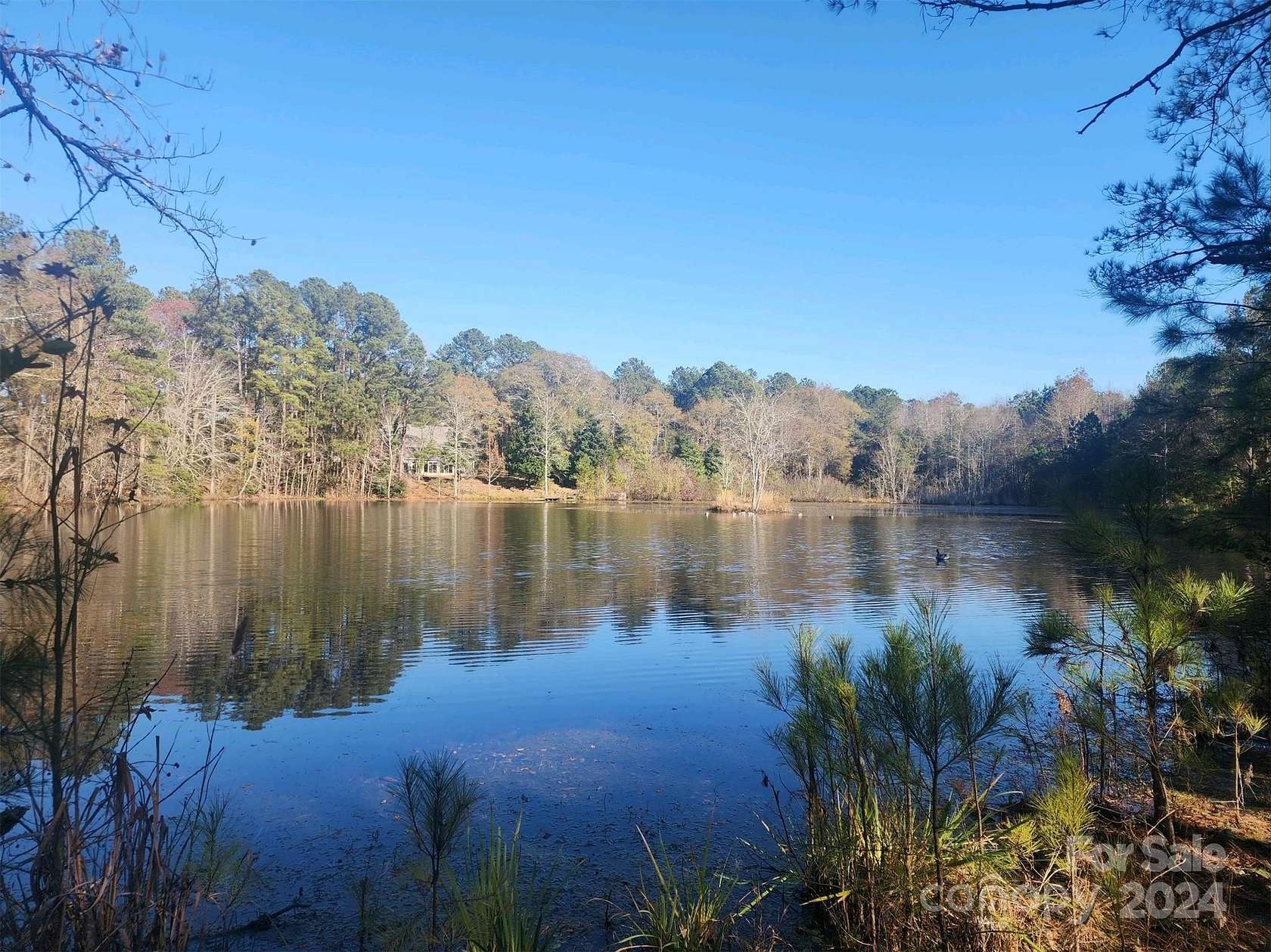 22.42 Acres of Land with Home for Sale in Jefferson, South Carolina