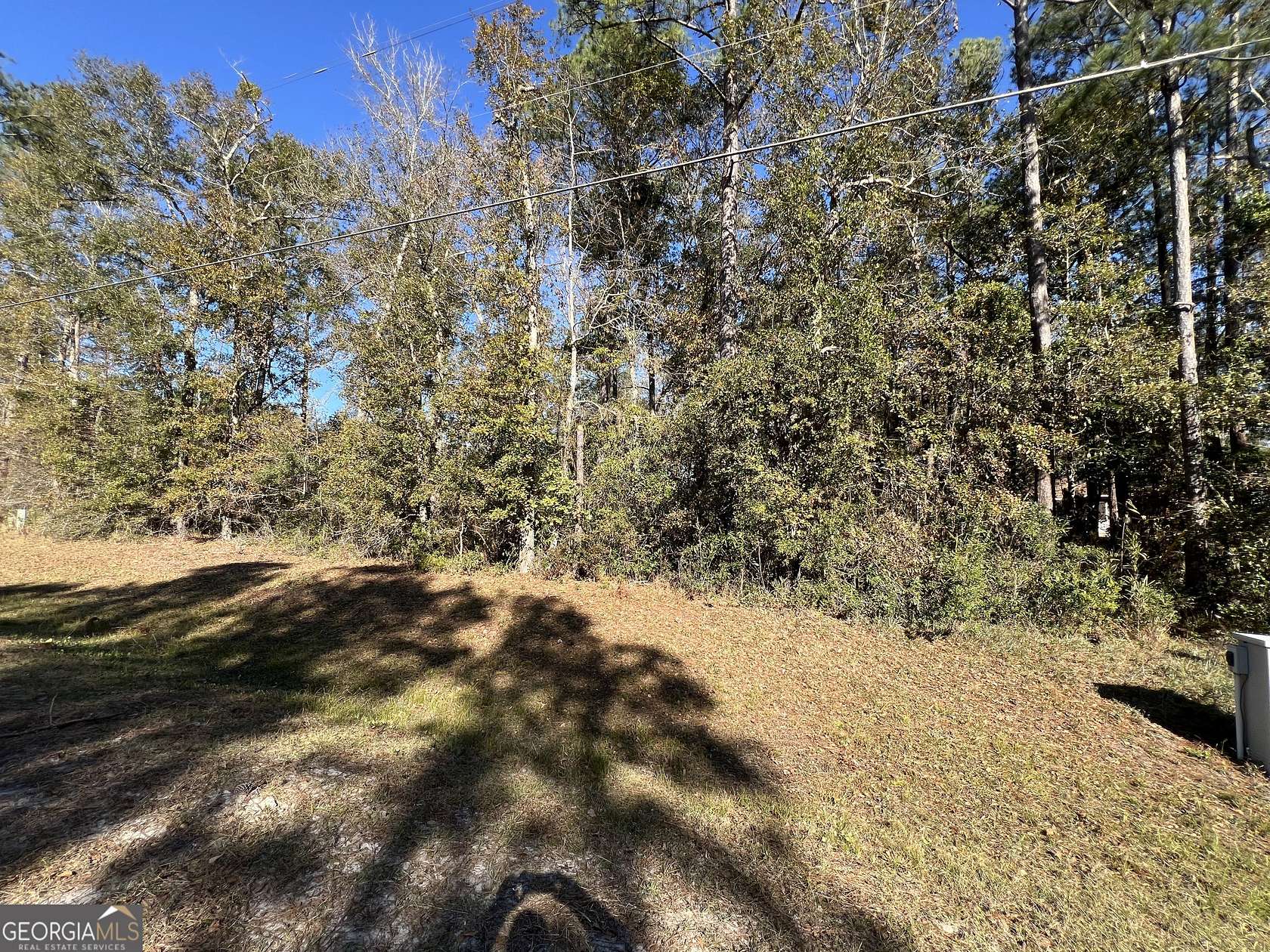 0.46 Acres of Residential Land for Sale in Townsend, Georgia