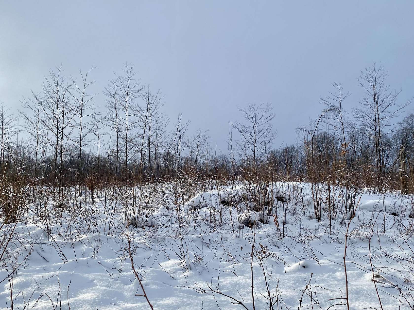 15.6 Acres of Land for Sale in Gaylord, Michigan