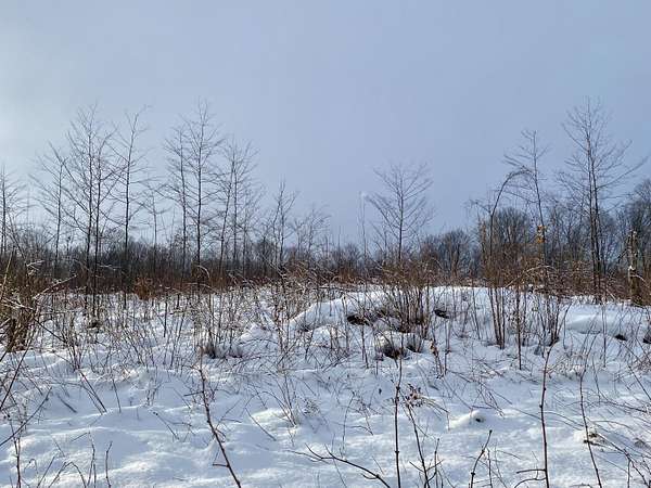 15.6 Acres of Land for Sale in Gaylord, Michigan