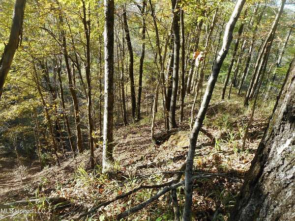 40 Acres of Recreational Land for Sale in Satartia, Mississippi