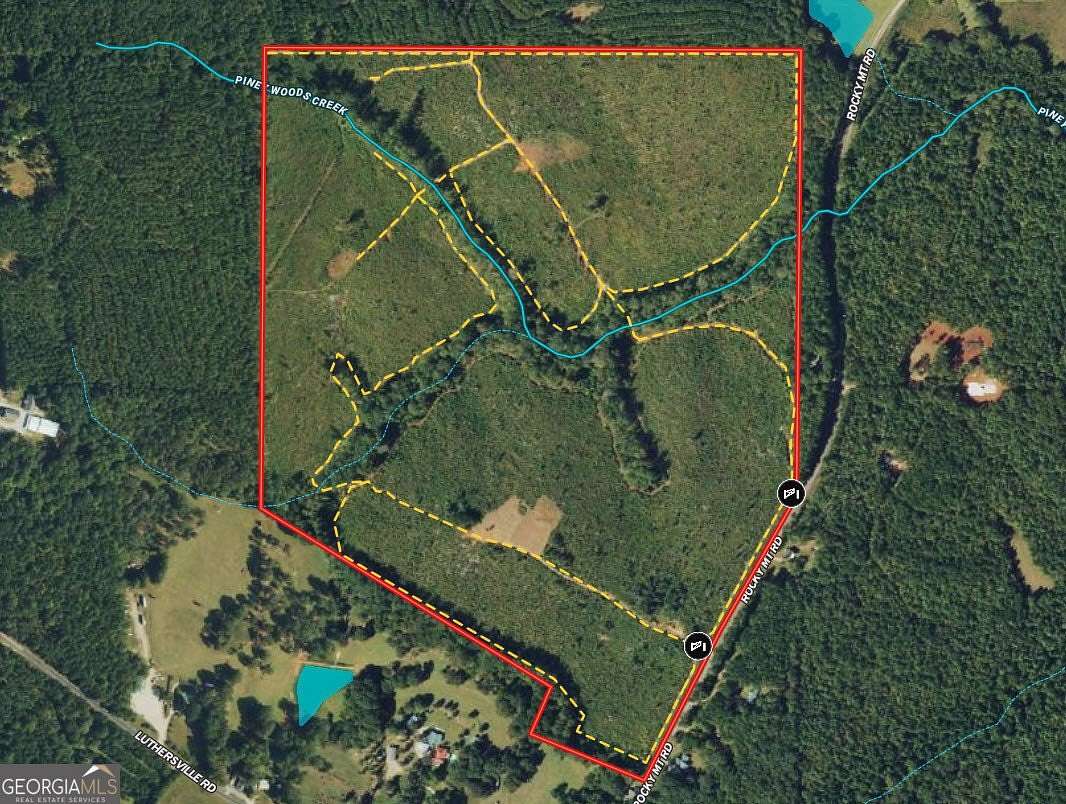 178.235 Acres of Recreational Land for Sale in Luthersville, Georgia