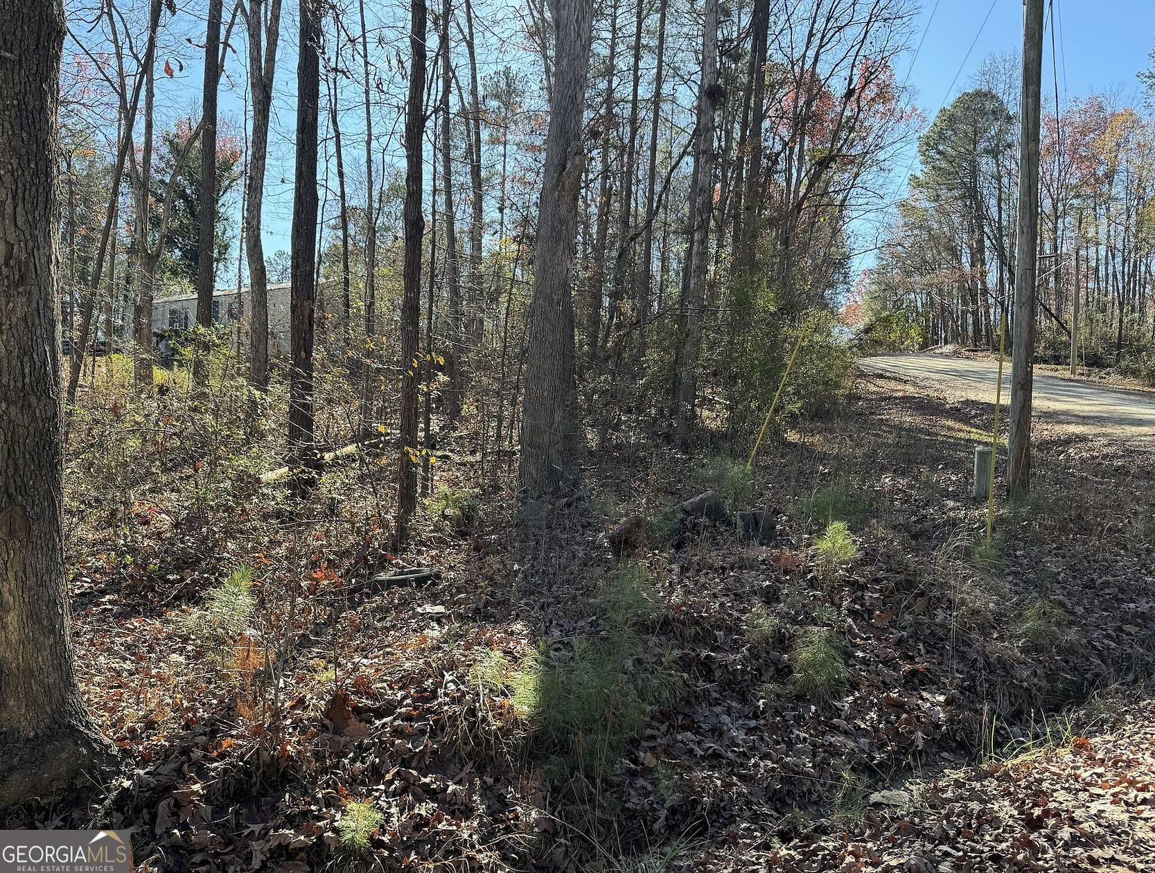 Residential Land for Sale in Lavonia, Georgia