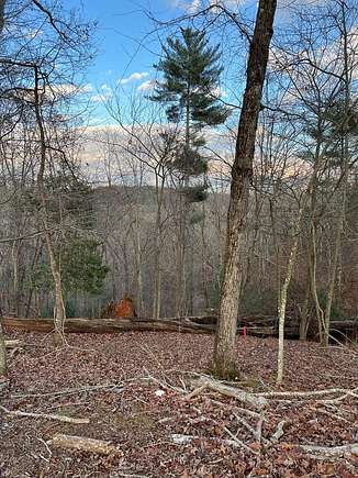 1.5 Acres of Land for Sale in Ellijay, Georgia