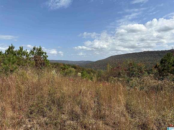 160 Acres of Recreational Land for Sale in Gallant, Alabama