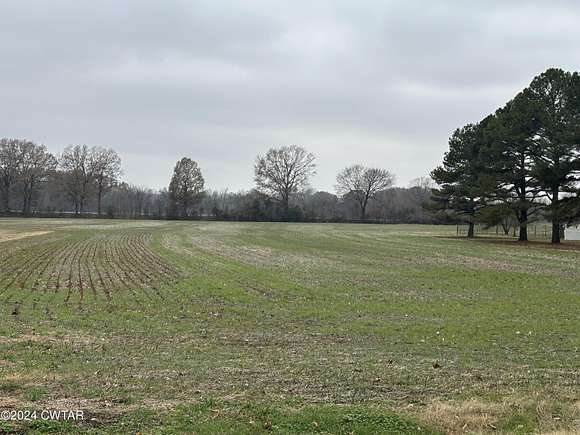 Land for Sale in Trenton, Tennessee