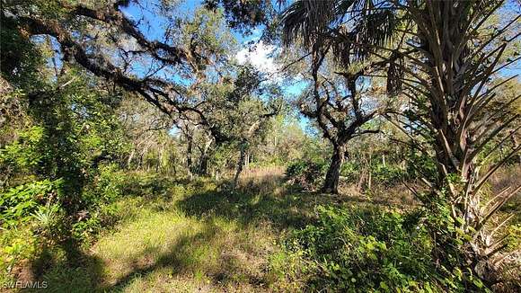 25 Acres of Land for Sale in LaBelle, Florida