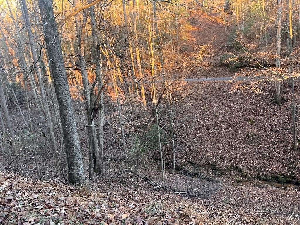 0.5 Acres of Land for Sale in Ellijay, Georgia