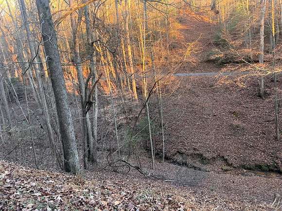 0.5 Acres of Land for Sale in Ellijay, Georgia