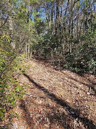 0.79 Acres of Residential Land for Sale in Millers Creek, North Carolina