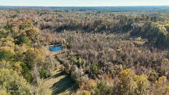 17.5 Acres of Land for Sale in Pelahatchie, Mississippi