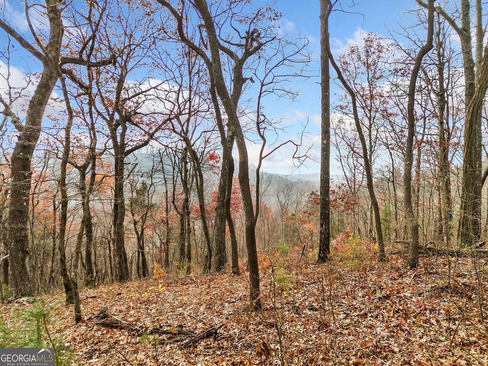 1.77 Acres of Residential Land for Sale in Ellijay, Georgia