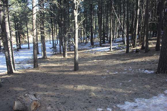 0.51 Acres of Residential Land for Sale in Angel Fire, New Mexico