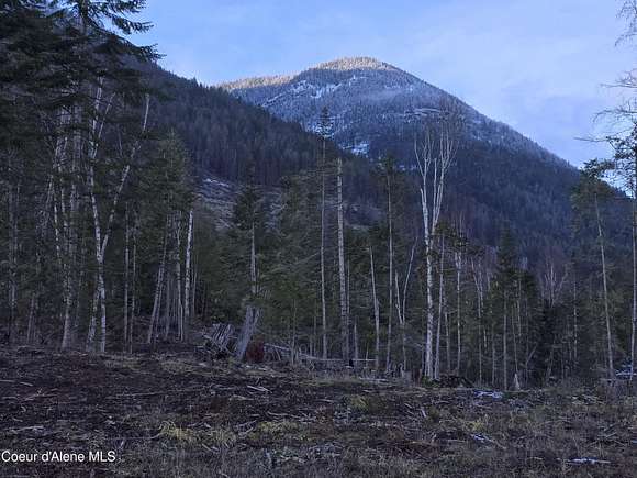 10.02 Acres of Recreational Land for Sale in Bonners Ferry, Idaho