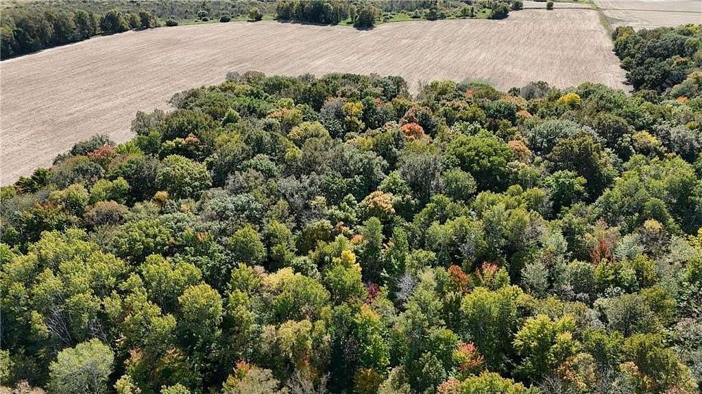 20.38 Acres of Recreational Land & Farm for Sale in Princeton, Minnesota