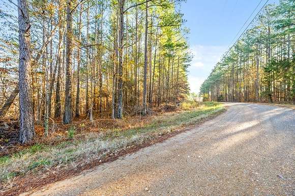 46.7 Acres of Land for Sale in Stewart, Tennessee