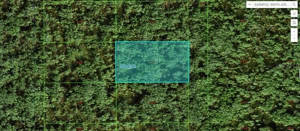 1.1 Acres of Residential Land for Sale in Polk City, Florida
