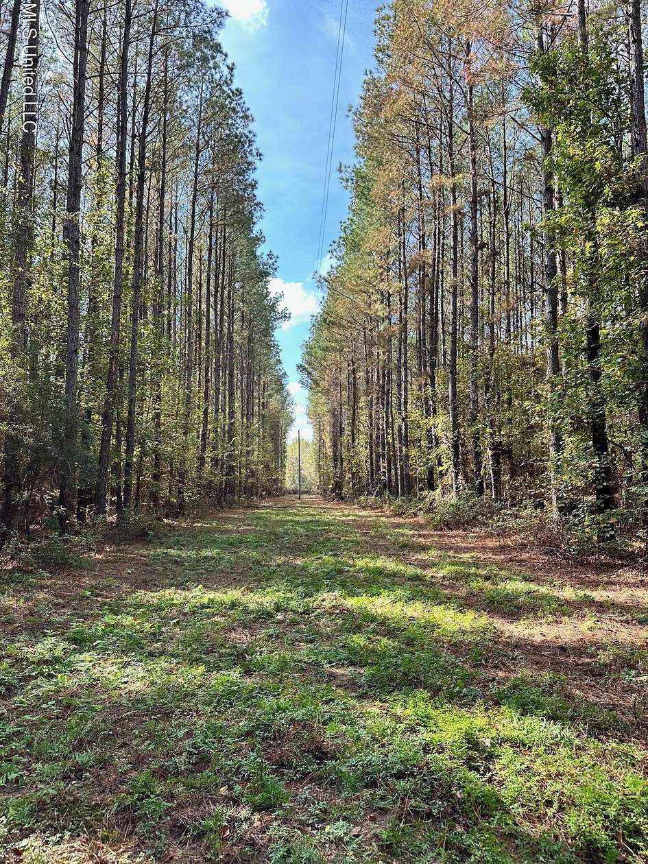 6.5 Acres of Residential Land for Sale in Carthage, Mississippi