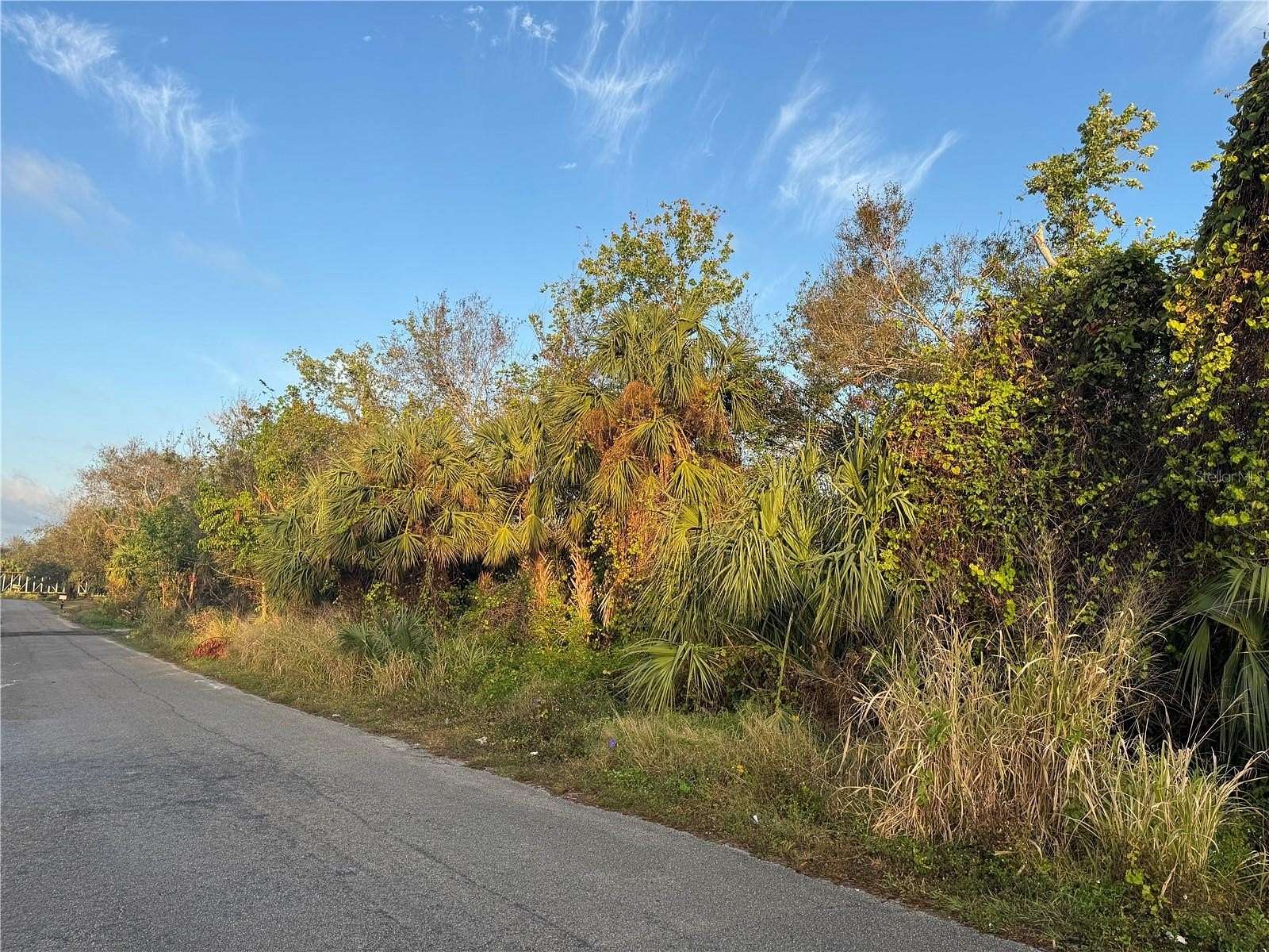 1.43 Acres of Residential Land for Sale in Arcadia, Florida