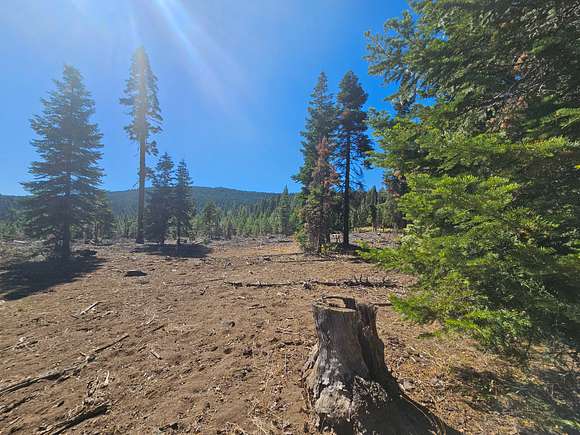 2.33 Acres of Land for Sale in Alturas, California