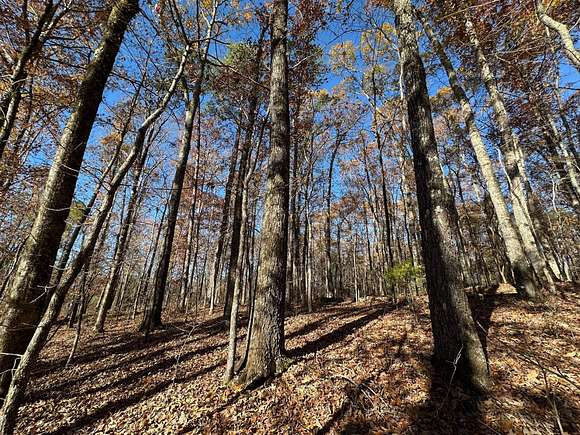 240 Acres of Recreational Land for Sale in West, Mississippi