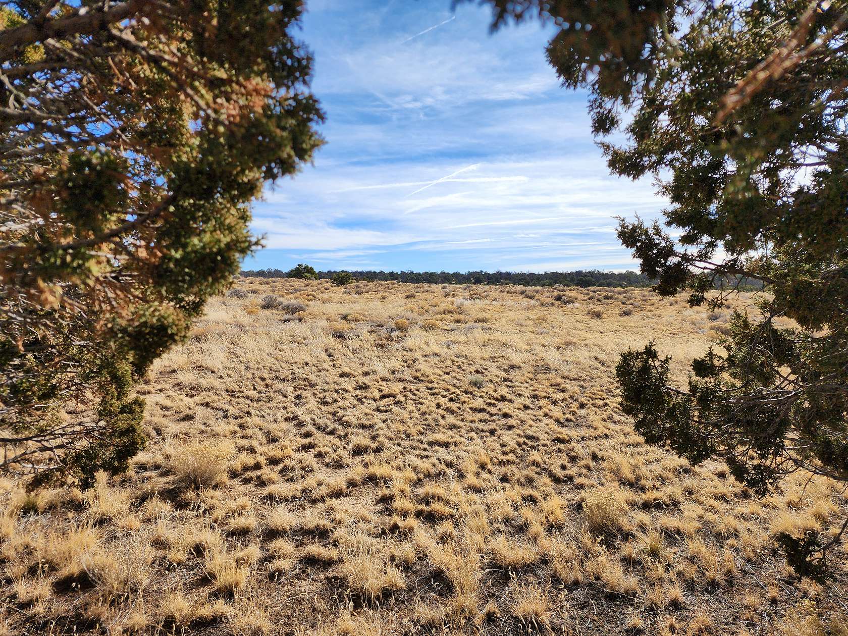 5 Acres of Land for Sale in Ramah, New Mexico