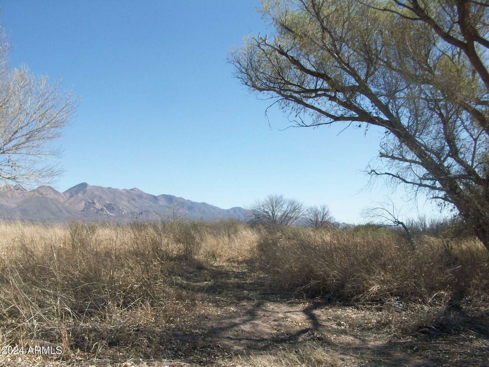 86.11 Acres of Land for Sale in Elfrida, Arizona