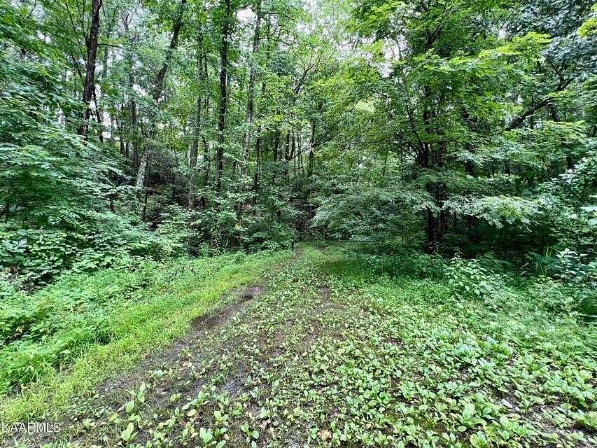 0.32 Acres of Residential Land for Auction in Sevierville, Tennessee