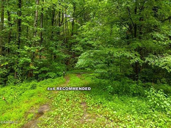 0.45 Acres of Residential Land for Auction in Sevierville, Tennessee