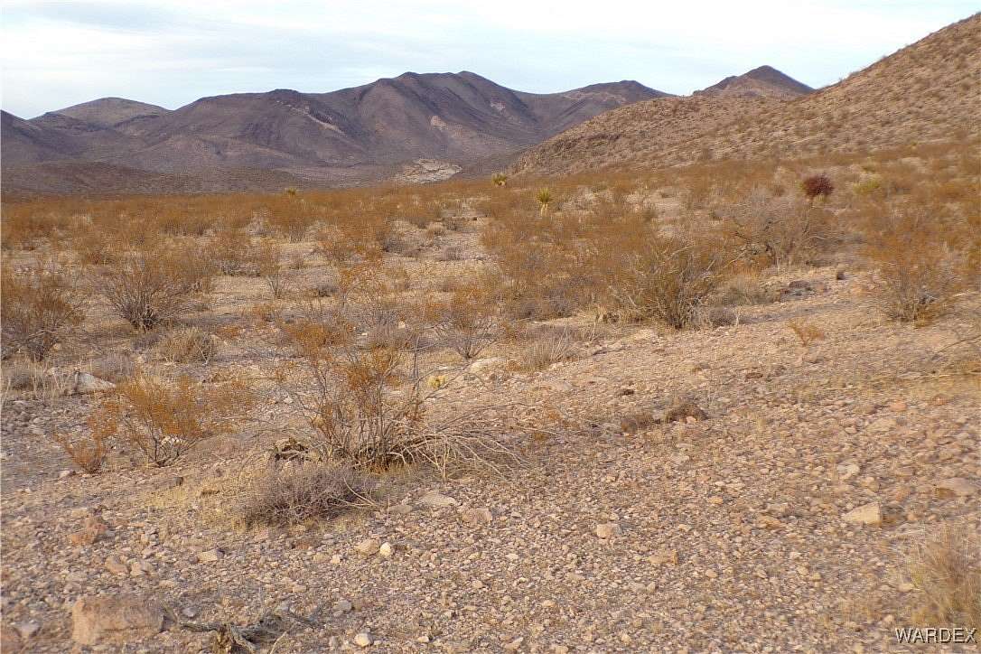 20 Acres of Land for Sale in Dolan Springs, Arizona