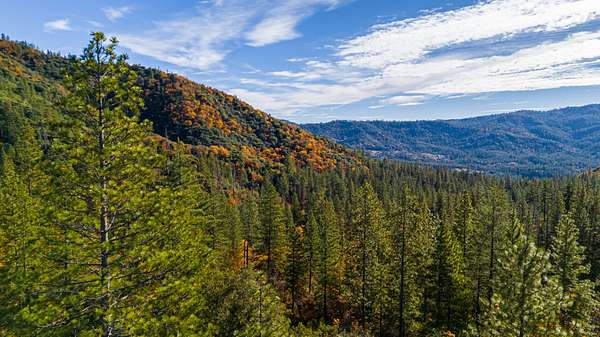 15.4 Acres of Recreational Land for Sale in Twain Harte, California