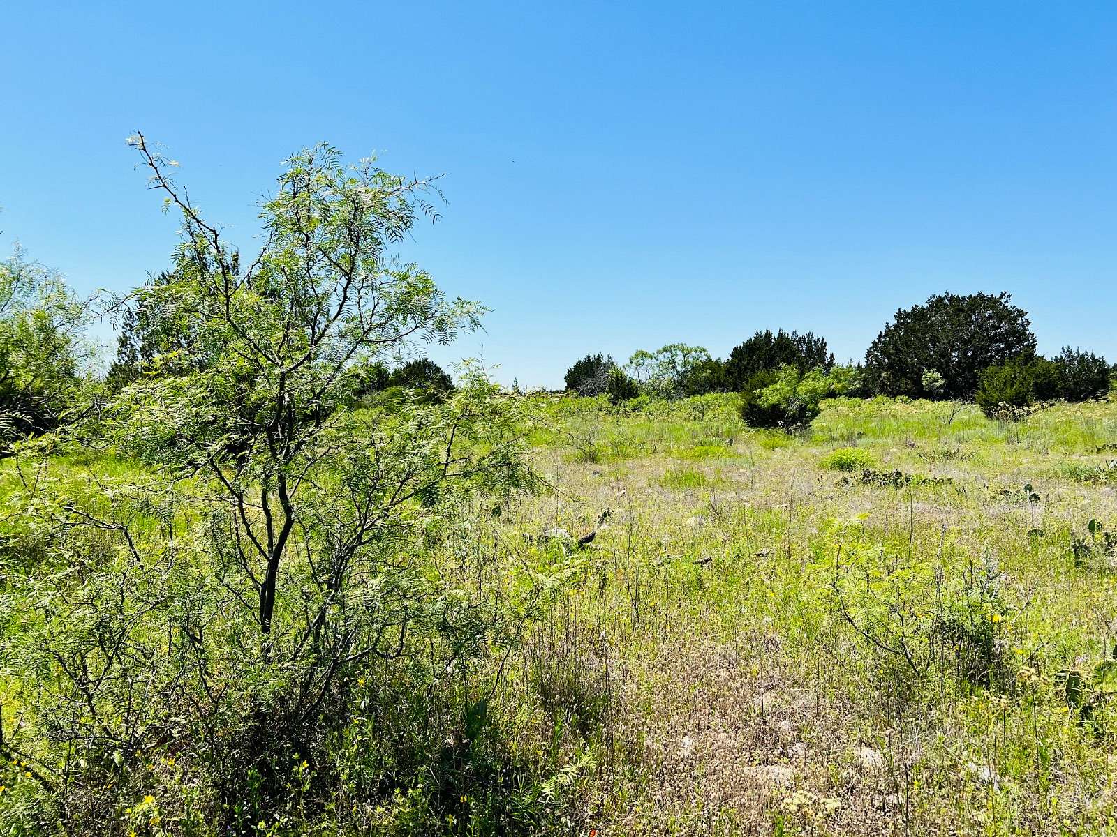 20.02 Acres of Land for Sale in Hamilton, Texas