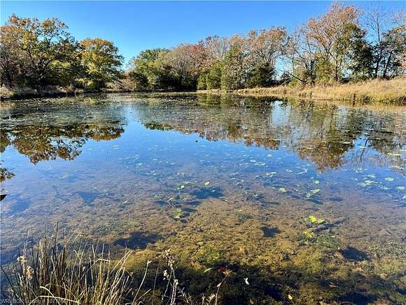 45 Acres of Land for Sale in Muse, Oklahoma