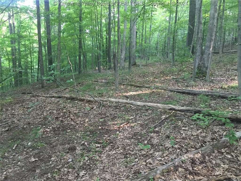 67 Acres of Recreational Land for Sale in Ravenswood, West Virginia