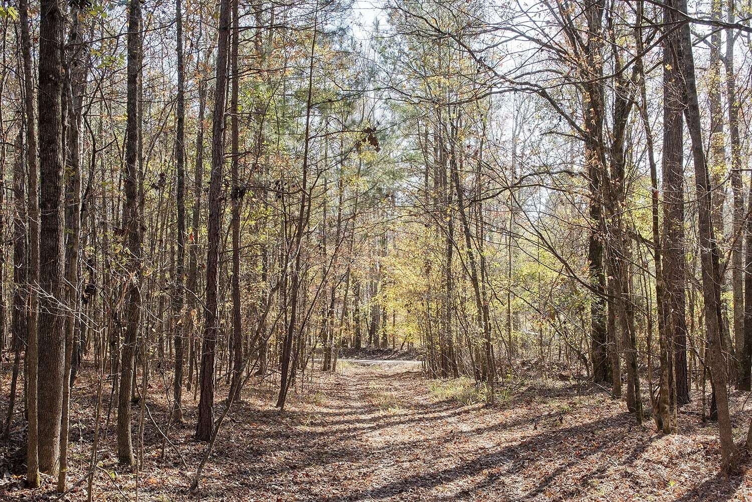 10 Acres of Recreational Land for Sale in Greensboro, Georgia