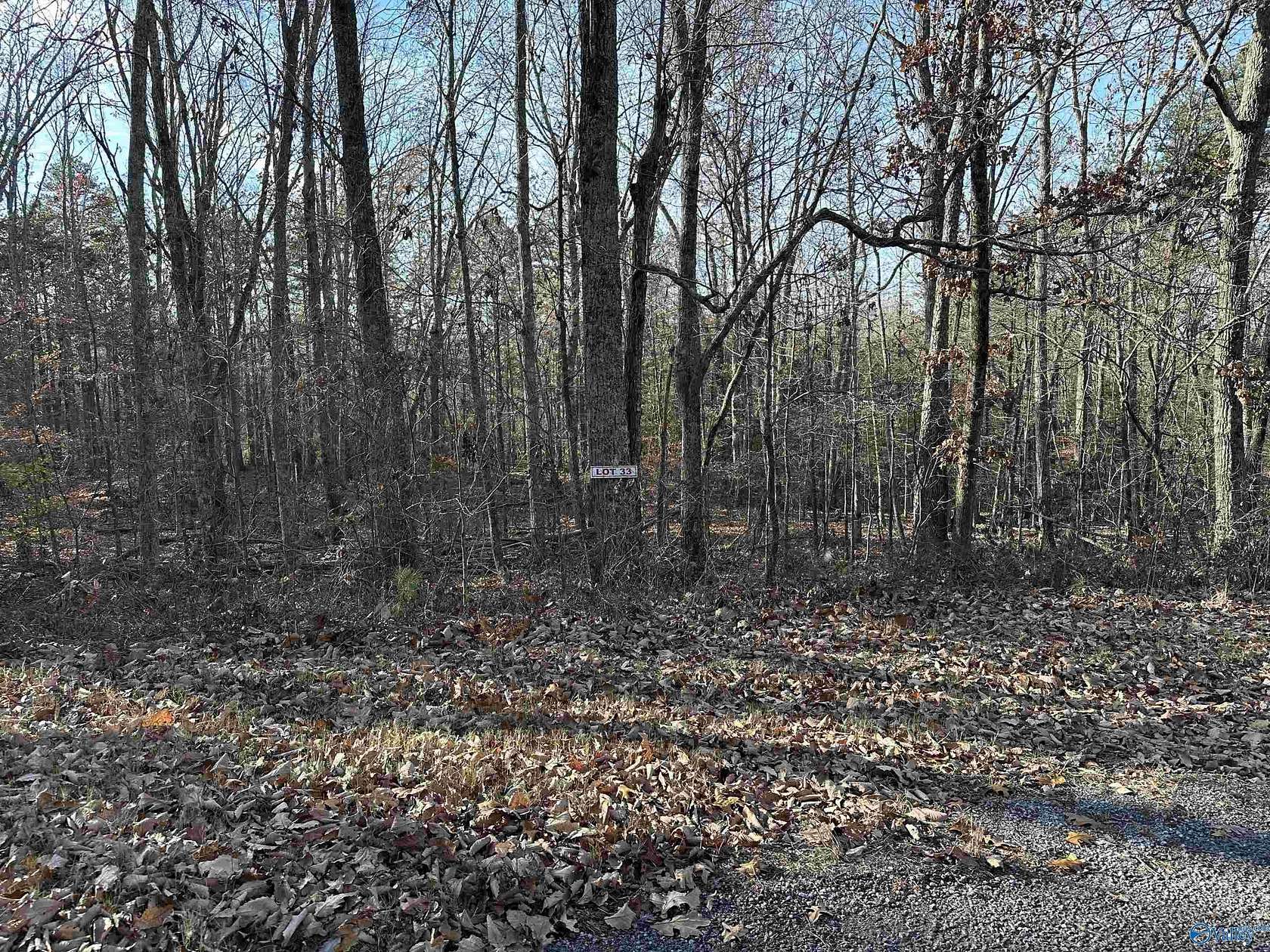 0.91 Acres of Residential Land for Sale in Scottsboro, Alabama