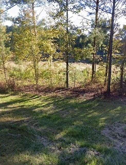 4 Acres of Commercial Land for Sale in Douglasville, Georgia