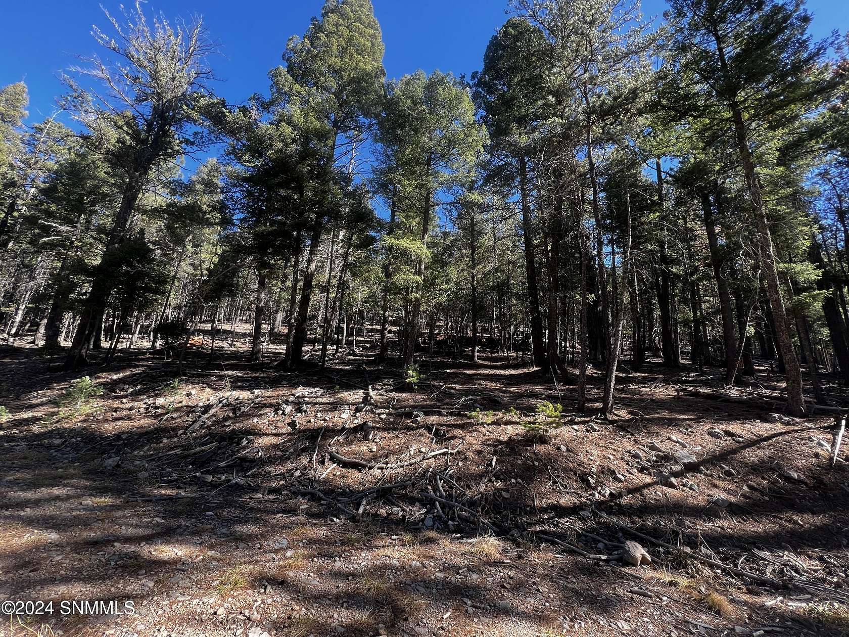 0.263 Acres of Land for Sale in Cloudcroft, New Mexico