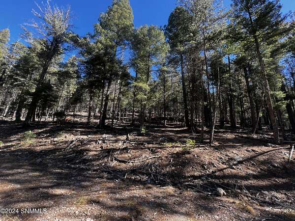 0.26 Acres of Land for Sale in Cloudcroft, New Mexico