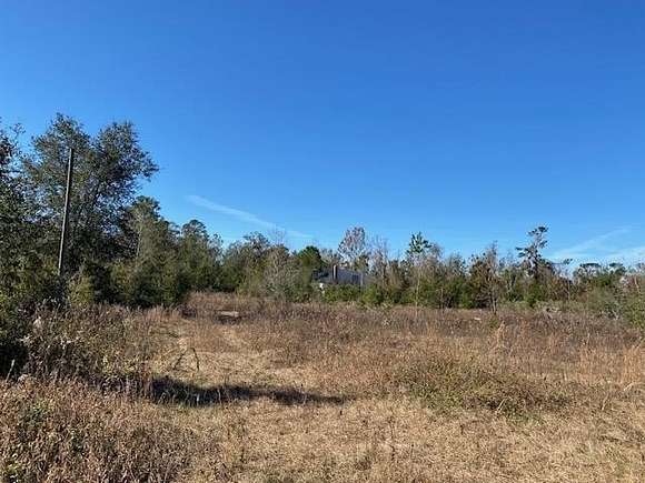 18.36 Acres of Land for Sale in Madison, Florida