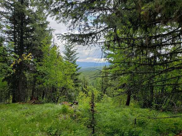 20 Acres of Recreational Land for Sale in Trego, Montana